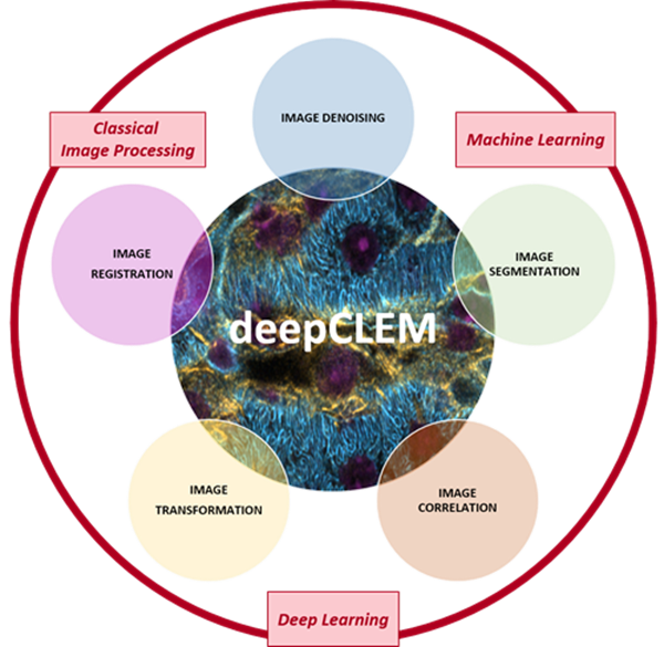 centered image